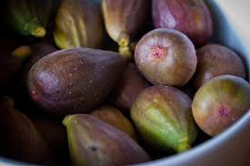 We did not find results for: Figs Farkizzan And Common Fig Season In Malta 2021 Rove Me