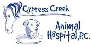 Small Animals Cypress Creek Animal Hospital P C