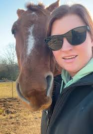 Belly Band Blanket Horse