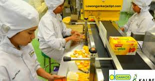 Tumbuh baik secara organik maupun melalui merger & akuisisi. Lowongan Kerja Pt Dankos Farma Kalbe Group Terbaru 2021 Lowongankerjadipt Com