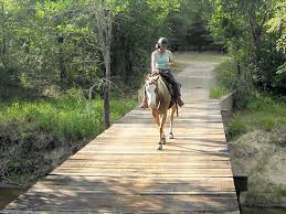 Jun 30, 2002 · recreational variety is the draw of lake somerville state park and trailway in somerville. Lake Somerville State Park Somerville Tx Where The Trails Are