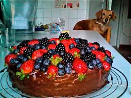 La sua creazione risale al 1920 da un errore del pasticciere caprese carmine di fiore, che intento a preparare il suo dolce alle mandorle da servire a tre malavitosi giunti a. Torta Di Compleanno Veganblog Ricette E Prodotti Dal Mondo Vegan