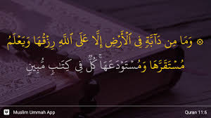 Tafsir quran surat hud ayat 6. Hud Ayat 6 Youtube