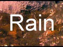Sound Of Rain 90min Sleep And Meditation Video No Music Youtube Meditation Videos Meditation Music Sound Of Rain
