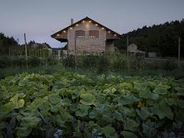 Le Garde Champetre Gye Sur Seine Menu Prix Restaurant Avis Reservations Tripadvisor