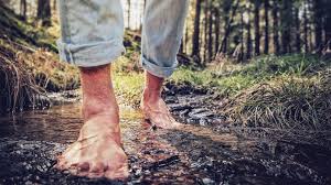 The muscles acting on the foot • the muscles acting on the foot can be divided into two distinct groups; 9 Foot Exercises For Strengthening Flexibility And Pain Relief