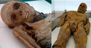 What Caused the Natural Mummification of the Mummies of Venzone? | Ancient  Origins