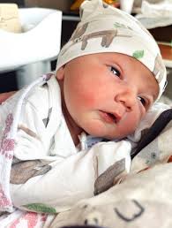 Jayden Garrison (@jaydenmgarrison) • Instagram photos and videos