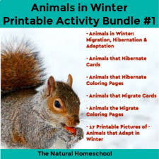 You can down load this photo, simply click download image and. Animals That Hibernate Coloring Pages Worksheets Teaching Resources Tpt