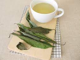 Beneficios Del Te De Hoja De Aguacate Como Se Prepara Y Se Debe Tomar