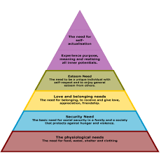 Honeygrip Erik Erikson S Stages Of Human Development Maslow S Hierarchy Of Needs Stages Of Human Development Learning Theory