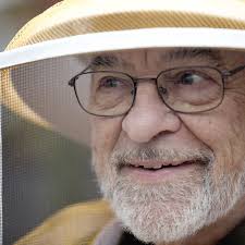 Buzz kill: Advocates seek to reverse trend in honeybee deaths