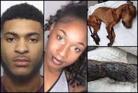 UK Animal Cruelty Files