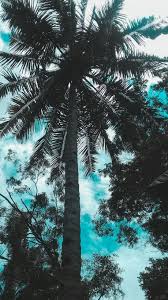  Loockscreen Wallpaper Awan Summer Wallpaper Iphone Wallpaper Phone Wallpaper