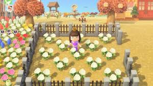 New horizons on the nintendo switch, a gamefaqs message board for lilies red, yellow and white are the base seed colors, they can not be produce by pairing with other seed colors. Acnh Purple Roses How To Get Breed Animal Crossing Gamewith