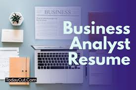 business analyst resume sample with