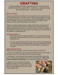 Grafting your own trees is also economical. Grafting Greenland Garden Centre
