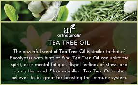 Artnaturals tea tree body wash gently foams up into a fragrant lather that leaves skin feeling invigorated, glowing, hydrated and soft. Amazon Com Artnaturals Tea Tree Body Wash 12 Fl Oz 355ml Peppermint And Eucalyptus Oil Natural Soap Dry Skin Jock Itch Acne Athletes Foot Wash Treatment Beauty Personal Care