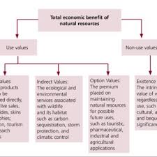 Pdf Community Management Of Natural Resources In Africa Impacts Experiences And Future Directions