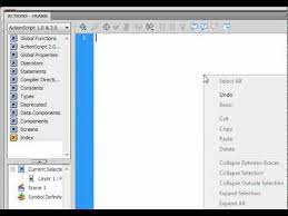 Simple Contact Form In Flash - Youtube