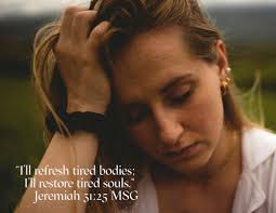 These dogs… #rescuedogsrock