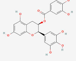 Hình ảnh về Epigallocatechin gallate (EGCG) chemical structure