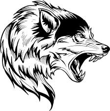 Pin On Cool Wolf