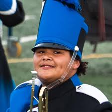 Replacement for FH541V Kai 17 engine needed