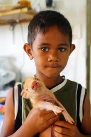 Vijf redenen om Tonga op je “bucketlist” te zetten