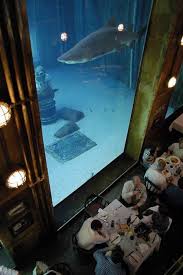 restaurant shark tank view 2020 akvaryum mimari balik