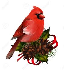 High quality christmas bird gifts and merchandise. Bird Red Cardinal On Christmas Decor Stock Photo Picture And Royalty Free Image Image 23285440