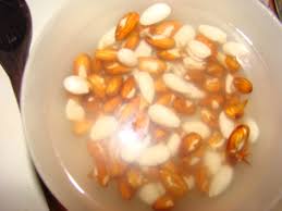 Le mandorle sono una delle noci più consumate e servono come ingrediente per un numero infinito di ricette. Latte Di Mandorle Cos E E Come Si Prepara Lacuocaignorante