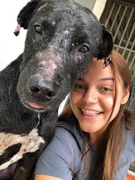 Brownie Blondie Foundation by Marjorie Andino