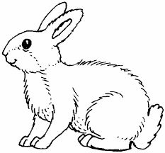 School's out for summer, so keep kids of all ages busy with summer coloring sheets. Colouring Pictures Of Rabbits Coloring Home