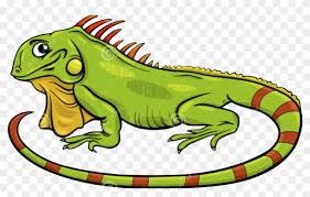 Iguana Cartoon Free Transparent Png Clipart Images Download Collection of cartoon iguana pictures (37) cartoon picture of iguana transparent crocodile cartoon png iguana cartoon free transparent png