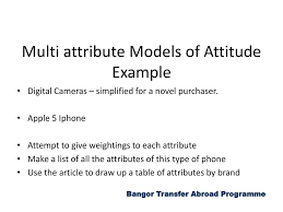 Functional or emotional associations that are assigned to a brand by its customers and prospects. Attitudes And Attributes Ppt Download