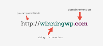 How To Choose A Great Domain Name For A Website