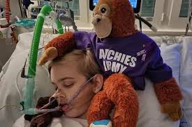 Archie Battersbee's funeral date set as concerns raised over tragic death