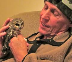 Is this a Northern Saw-whet owl in Nelson Co, VA?