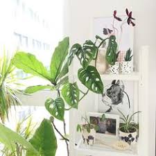 Download now buatlah sebuah sketsa karya 3 dimensi kendi brainly co id. 8 Art Ideas Modern House Floor Plans Simple House Design Minimalist House Design