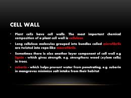 Check spelling or type a new query. Plant Immunology Lecture 5 Ppt Download