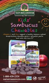 Kids Sambucus Chewables Black Elderberry With Vitamin C And Zinc 60 Count Vitamins For Kids Vitamins Vitamin C And Zinc