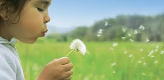 Svet KS Toma Brejca Vir Novoletna predstava Jamski clovek Miklavžev vecer  PGD Vir Društvo upokojencev Vir BŠK Budnicar Pustna