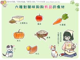 ipet愛寵物 六種對貓咪狗狗有益的食材 dog cat cats and kittens cats