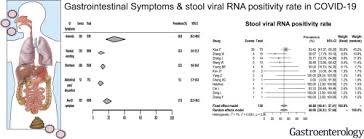 The 2019 coronavirus causes more deaths than the seasonal flu. Gastrointestinal Manifestations Of Sars Cov 2 Infection And Virus Load In Fecal Samples From A Hong Kong Cohort Systematic Review And Meta Analysis Gastroenterology