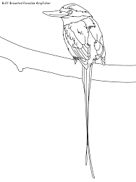 To print, simply click on the printable of your choice. Bird Coloring Pages