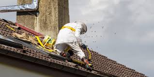 Stung and sticky beekeeper, llc is here to help! Bee Removal Perth How To Get Rid Of Bees Swarms Safely Swat A Pest