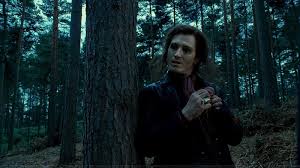 X,ddddstill pretty hot though.i find this pairing intriguing (although it is pure crack) so i decided to make a short. Hello Beautiful Nick Moran Scabior Harry Potter And The Deathly Hallows His Outfit Is Awesome Harry Potter Characters Harry Potter Deathly Hallows