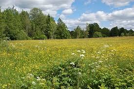 Vänern, som är europas största insjö och vättern, som egentligen är en vattenfylld gravsänka. Smaland Wikipedia