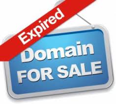 7 Ways To Monetize Expired Domains | Niche Pursuits